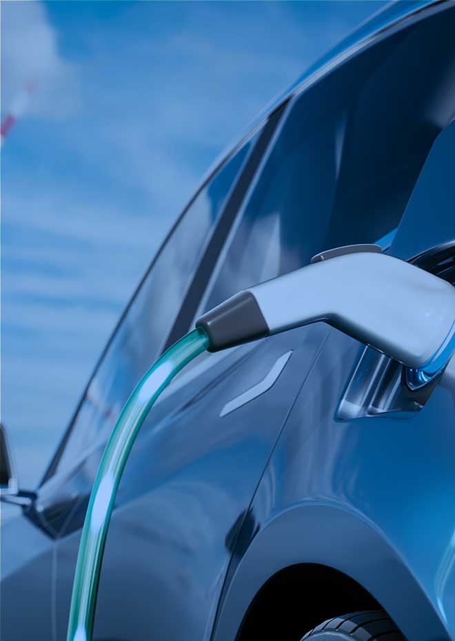 bevictorΰ�¹���-Τ�¹ٷ���վ